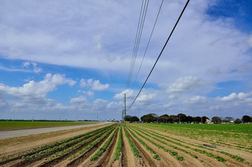 D7K_4377.JPG