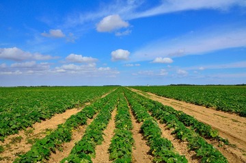 D7K_4380.JPG