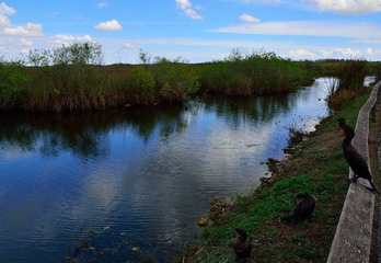 D7K_4420.JPG