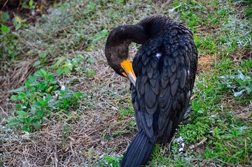 D7K_4421.JPG