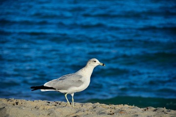 D7K_1384.JPG