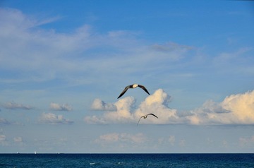 D7K_1387.JPG