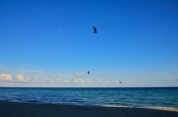D7K_1423.JPG