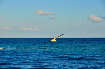 D7K_1470.JPG