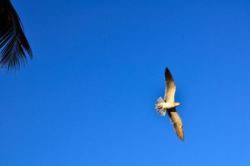 D7K_1487.JPG