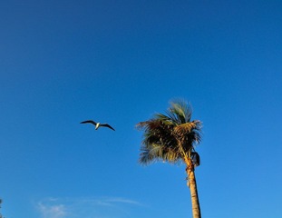 D7K_1507.JPG