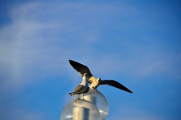 D7K_1523.JPG