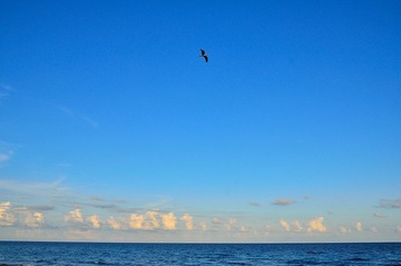 D7K_1607.JPG