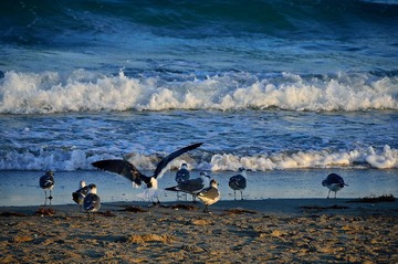 D7K_1611.JPG