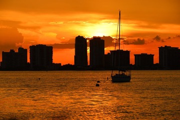 DSC_0431.JPG