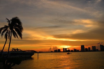 DSC_0446.JPG