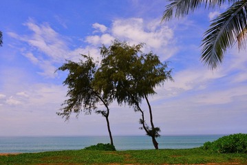 DSC_4679.JPG