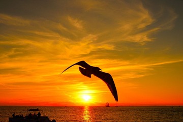 DSC_9812.JPG