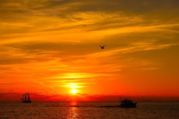 DSC_9858.JPG