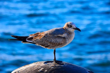 DSC_9587_01.JPG