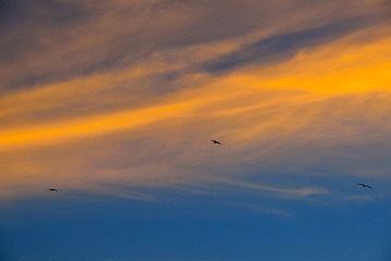 DSC_0011.JPG