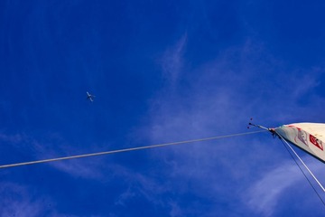 DSC_0980_01.JPG