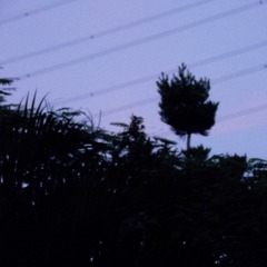 2BF8BA29-5093-4BD3-B056-DEF52B3D6D8B/L0/001
