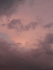 876153