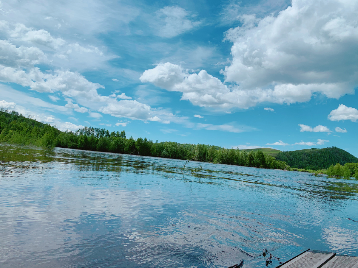 额尔古纳白桦林湿地美丽广阔的视野给眼睛带来极度舒适感