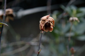 _MG_5083.jpg