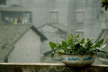 _MG_5089.jpg
