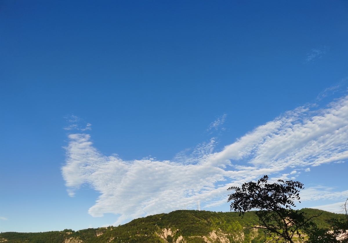 今天云的形状像一只袋鼠