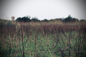 96390702-6D58-4675-9C0B-A4AC1FB699CF/L0/001