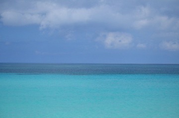 DSC_3471.JPG