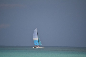DSC_3481.JPG