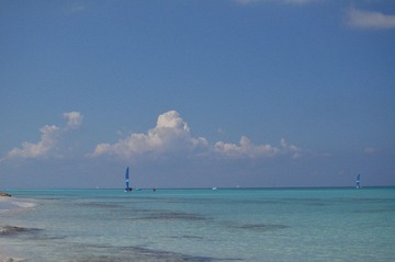 DSC_3498.JPG
