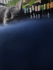 001