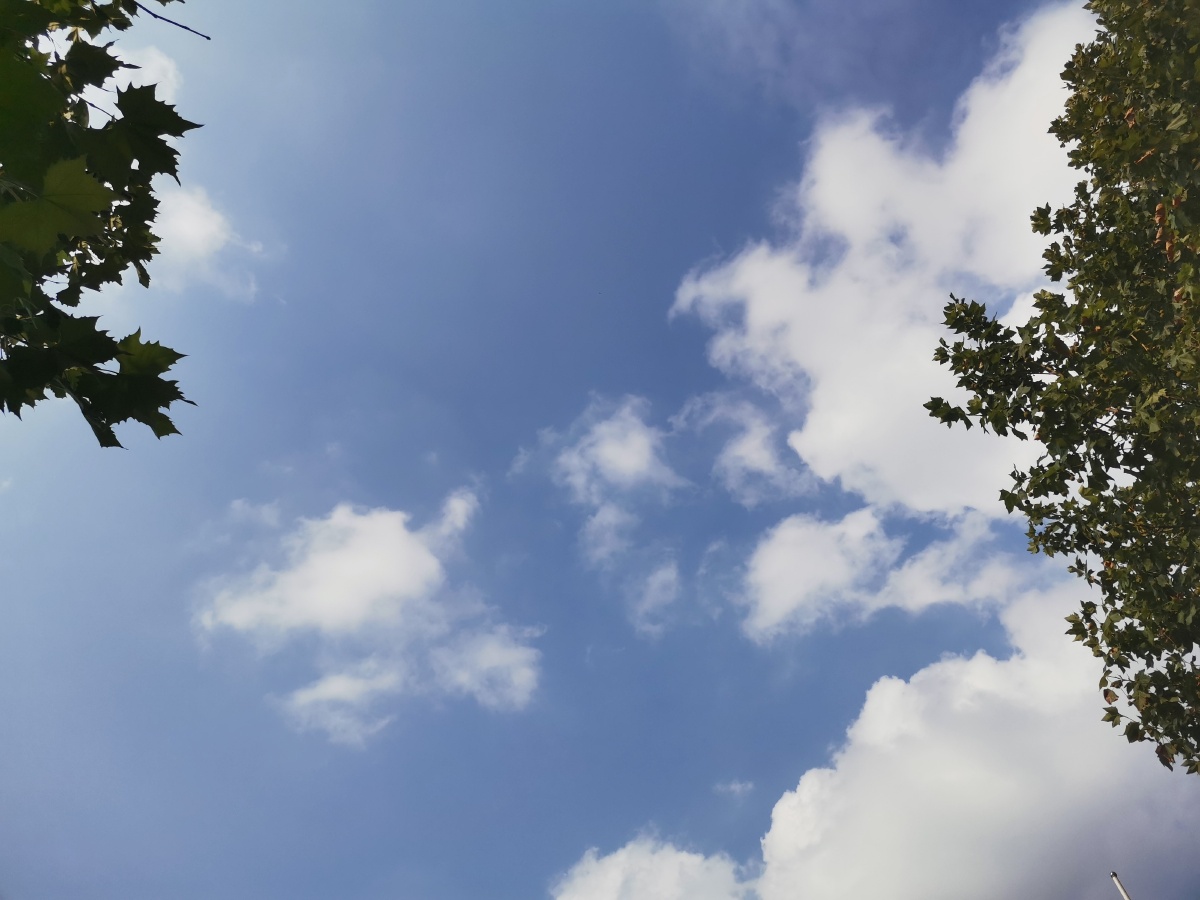 软绵绵的云朵蓝蓝的天