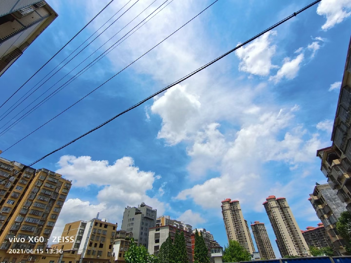 南边有只小呆瓜 - 图虫