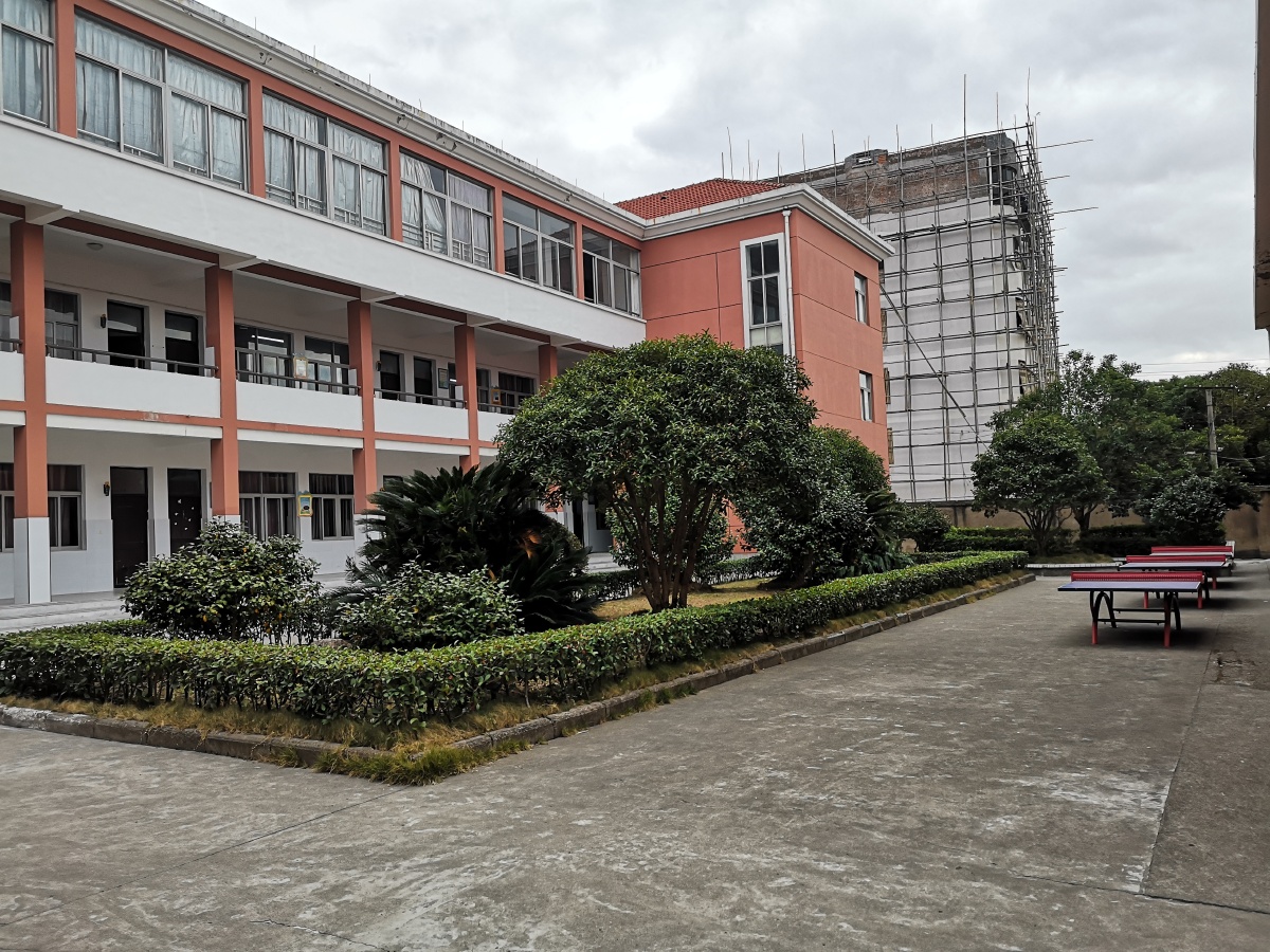 杜桥小学教育风采掠影