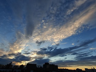 1000012928