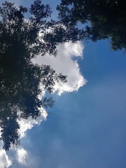 352