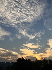 DDA5036A-4497-49B6-AE16-86835315B103/L0/001