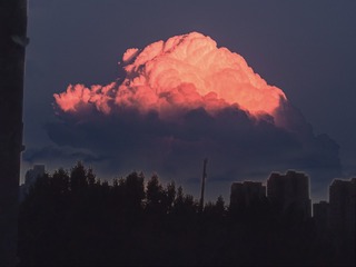 531217