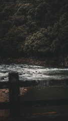 62087B25-9D06-47F4-BDCD-5E69EFCD616A/L0/001
