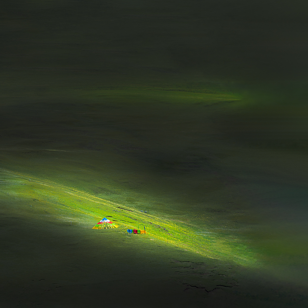 《窍弄光影》 - 西湖钓神王强 - 图虫