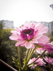 IMG_0851.jpg