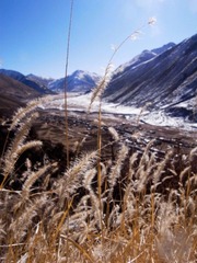 R0012166.jpg
