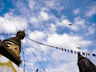 R0012421.jpg