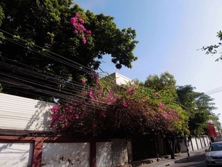 R0012934.jpg