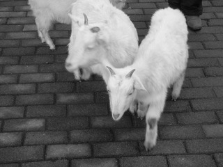 DSCN0151.JPG