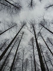 DSCN0154.JPG