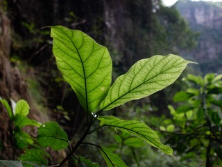 448CD954-A279-4763-9D8D-88F4064C0B16/L0/001