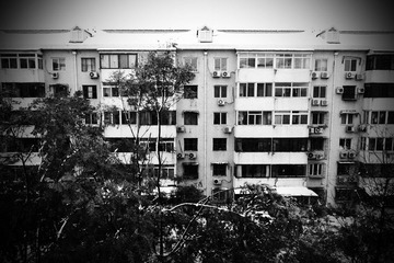 PB042960.JPG