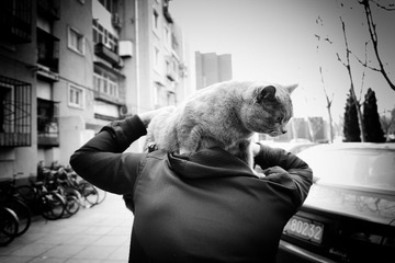 “20130330_豆豆_1172”为智能对象-1.jpg